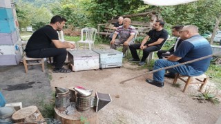 Arıcılığın gelişmesi için istişare
