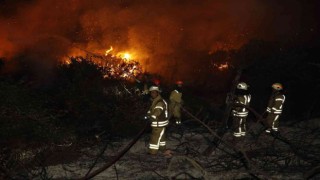 Arnavutköyde orman yangını