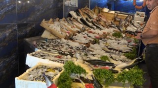 Av yasağı sonrası tezgahlarda balık bolluğu