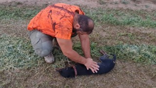 Avcı can dostunu köpeğini kalp masajı yaparak hayata döndürdü