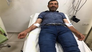 Ayı çobana saldırdı