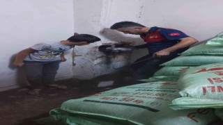 Bacaya sıkışan kedi kurtarıldı