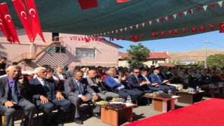 Bağbozumu ve reyhan hasat şenlikleri başladı