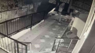 Bahçedeki yavru köpeği kucaklayarak çaldı