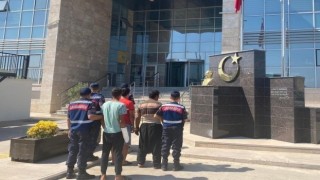 Bahçeden avokado çalarken yakalanan 2 şüpheli tutuklandı
