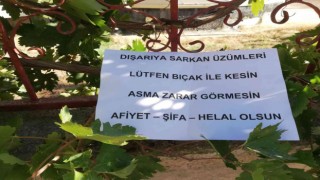 Bahçesinden dışarı sarkan üzümler için yazdığı notla gönülleri fethetti