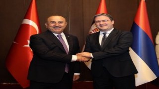 Bakan Çavuşoğlu, Macar ve Sırp mevkidaşlarıyla görüştü