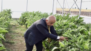 Bakan Kirişci: “Yılın ilk 8 ayında tarım ürünleri ihracatımız 21,5 milyar dolar”