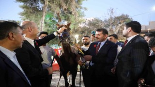 Bakan Soyluya Suruçta sevgi seli