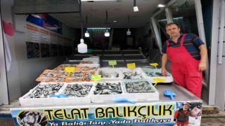 Balıkçı tezgahları şenlendi