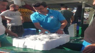 Balıkçılar “Vira Bismillah” dedi, denetimler sıkılaştı