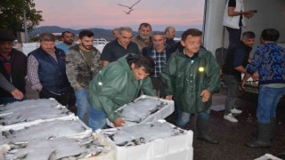 Balıkçıların gün doğmadan başlayan hal mesaisi