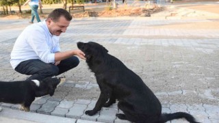 Balıkesir Büyükşehir ‘Mutlu Patiler projesini hayata geçiriyor