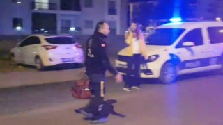 Balıkesirde komşu kavgası 2 ölü bir yaralı