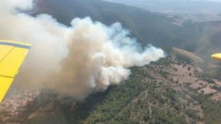 Balıkesirde orman yangını kontrol altında