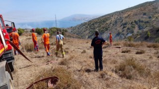 Bandırmada meralık alandaki yangın korkuttu