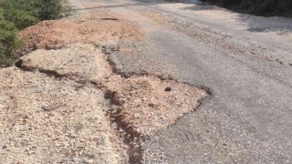 Barınak yolu adeta köstebek yuvasına döndü