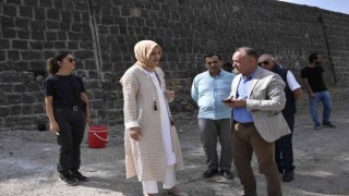 Başkan Çakmak Siverek Kalesinde incelemelerde bulundu