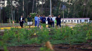 Başkan Gürün Tıbbi Bitkiler Koleksiyon Bahçesini inceledi