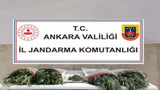 Başkentte jandarmanın operasyonunda çok sayıda uyuşturucu ele geçirildi