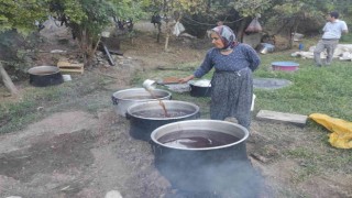 Batmanda hasadı başlayan kara üzüm ilkel yöntemlerle pekmeze dönüştürülüyor