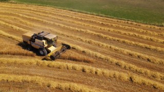 Bayburtta TMOnun buğday ve arpa alım primi desteğinden yararlanma süresi uzatıldı