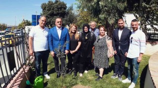 Beyoğlunda 5 bin bebek için 5 bin fidan dikildi