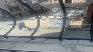 Beyoğlunda silahlı çatışma: Silahlı şehir eşkıyalarını polis yakaladı