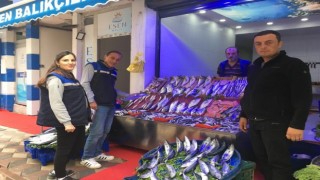 Bilecikte perakende balık satışı yapan iş yerleri denetlendi