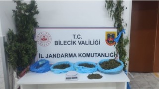 Bilecikte uyuşturucu operasyonunda 2 gözaltı