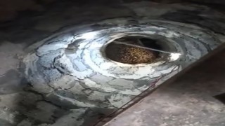 Bingölde arılar, cami minaresine yuva yaptı