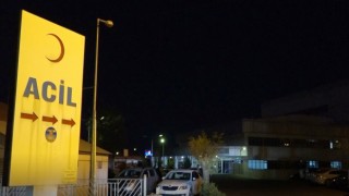 Bingölde yine ayı saldırısı: Yaralanan çoban hastaneye kaldırıldı