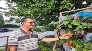 Bu da uçan patlıcan