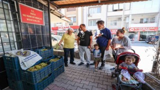 Bucada bağ bozumu bereketi