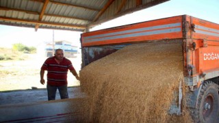 Buğday üretiminde rekor kırılan Sivasta yeni sezona hazırlık başladı