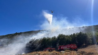 Burdurda orman yangını