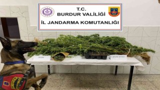 Burdurda uyuşturucu operasyonlarında 1 tutuklama