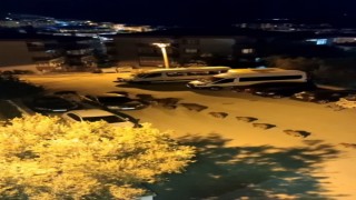 Bursada domuz sürüsü şehir merkezine indi