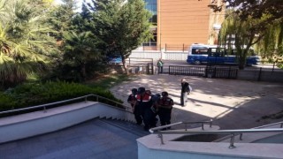 Bursada kenevir tarlasına baskın