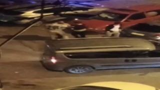 Bursada otopark kavgası kamerada