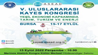 Bursada ‘yeşil ekonomi kongresi