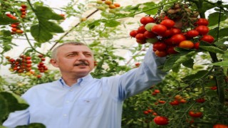 Büyükşehirden çiftçiye 86 milyonluk mazot ve tohum desteği