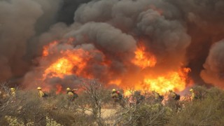 Californiada orman yangınları sürüyor