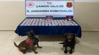 Çankırıda bin 14 adet sentetik hap ele geçirildi: 1 tutuklama