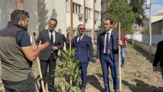 Çaycuma Adliyesinde fidan dikimi yapıldı