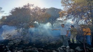 Çeşme yangını kontrol altında