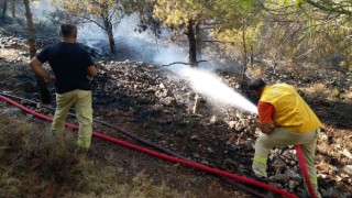 Çeşmedeki yangına müdahale sürüyor