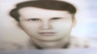 Ceviz ağacından düşen adam hayatını kaybetti
