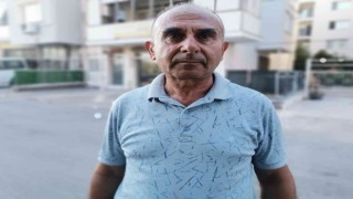 Çiftlikte dehşet saçtılar, 2 köpeği tüfekle katledip, 2sini de zehirlediler
