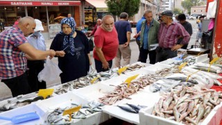 Çinakop tezgahlarda, gözler hala palamutta